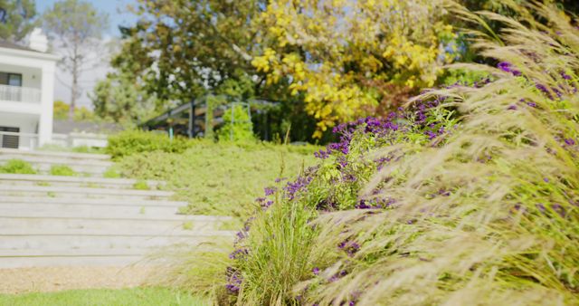 Sunny Backyard Garden with Flowers and Grass - Download Free Stock Images Pikwizard.com