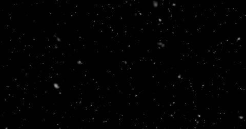 Falling Snowflakes on Black Background Fantasy