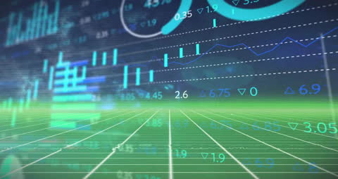 Dynamic Financial Data Animation in Metaverse