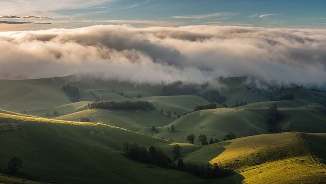 Rolling green hills glowing in sunrise light with low fog bank blanketing pastoral meadow