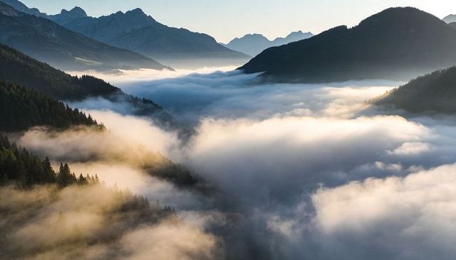 Golden Morning Light Bathing Sunlit Mist Flowing Through Alpine Valley with Conifer Ridges