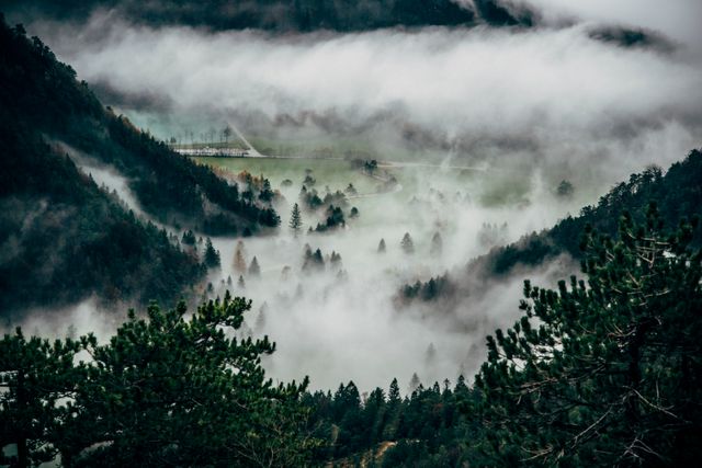 Misty Mountain Valley Landscape with Pine Trees - Download Free Stock Photos Pikwizard.com