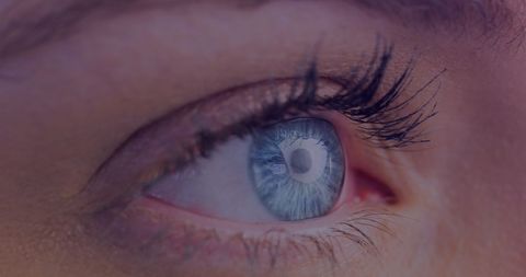 Close-up Blue Eye with Long Eyelashes and Natural Makeup - Download Free Stock Images Pikwizard.com
