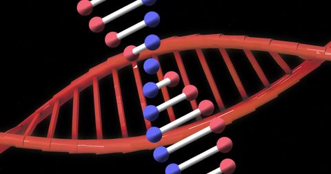 3d dna helix on black background for science concept