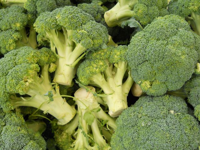 Close-up view of fresh green broccoli florets. Ideal for use in articles or advertisements about healthy eating, nutritious diets, organic food, vegetarian recipes, cooking blogs, or grocery stores. Can also be used for educational purposes to illustrate healthy vegetables.