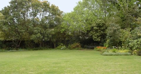 Lush backyard garden with expansive green lawn