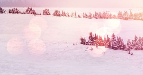Serene Winter Mountainscape with Snow-Covered Fir Trees - Download Free Stock Images Pikwizard.com