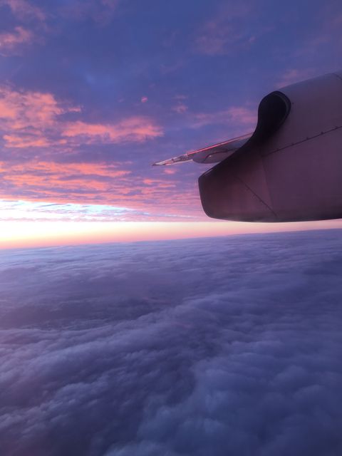 Great for travel blogs, aviation brochures, and sunset-themed projects. Highlights beauty of flying and serene skies.