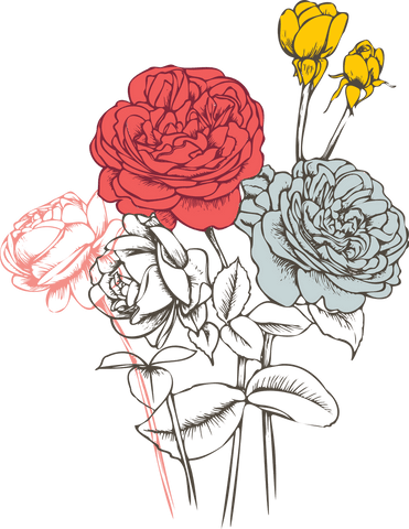 Elegant blooming flowers on transparent background
