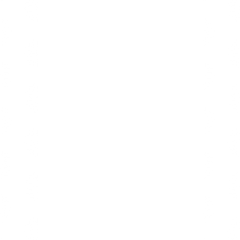White Lace Pattern on Transparent Background for Decorative Design - Download Free Stock Videos Pikwizard.com