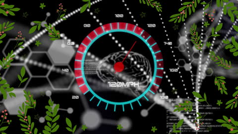 Futuristic Speedometer Overlay with Digital Graphs and Flora Accents