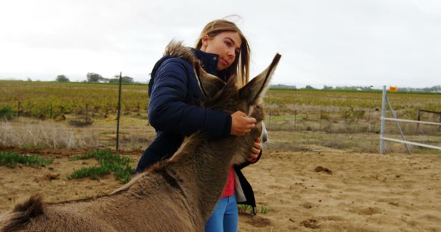 Young Woman Interacting with Donkey in Rural Landscape - Download Free Stock Images Pikwizard.com