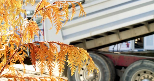 Autumn leaves in rich orange color juxtaposed against a metal industrial site with a partially raised truck bed. Perfect for projects highlighting the contrast between nature and industry, seasonal themes, environmental studies, or promotional material for industrial businesses focusing on nature.