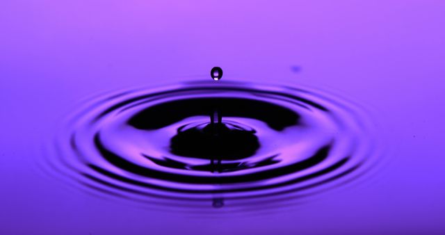A single water droplet creates ripples on a purple surface - Download Free Stock Photos Pikwizard.com