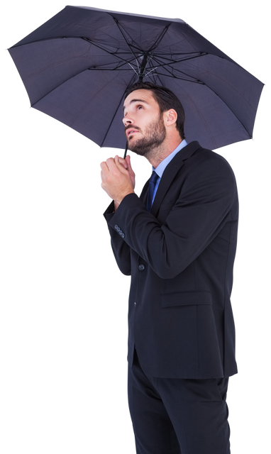 Businessman Holding Transparent Umbrella Overhead While Looking Up - Download Free Stock Videos Pikwizard.com