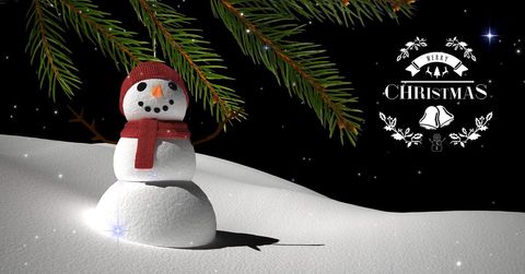 festive snowman under pine branch on starry winter night - Download Free Stock Templates Pikwizard.com