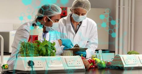 Food science researchers testing fresh produce in lab using microscope and molecular analytics