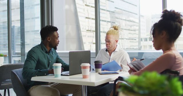 Diverse Team Collaborating in Modern Office with Large Windows - Download Free Stock Images Pikwizard.com