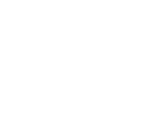 silhouette of spider with long legs on transparent background - Download Free Stock Videos Pikwizard.com
