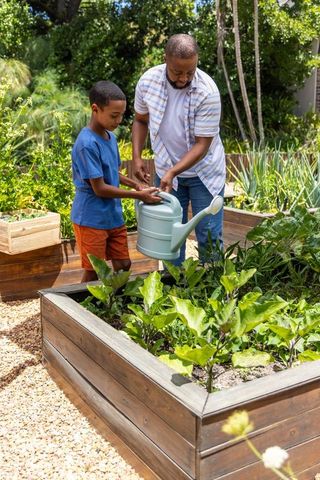 African american father teaching son watering vegetables in backyard raised wooden beds