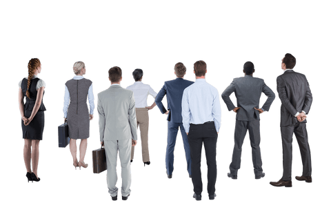 diverse business colleagues on transparent background - Download Free Stock Videos Pikwizard.com