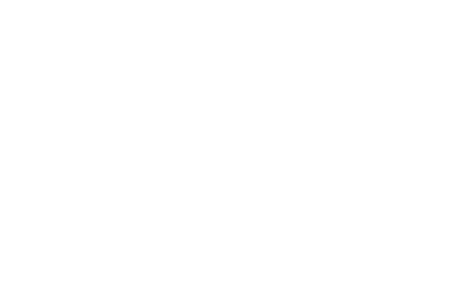 Silhouettes Holding DIY Tools on Transparent Background - Download Free Stock Videos Pikwizard.com