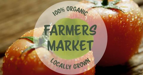 Fresh Organic Farmers Market Vinyl Banner with Juicy Tomatoes