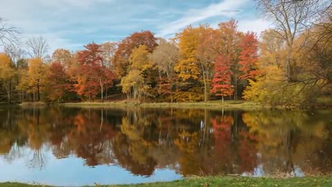 Autumn Tree Reflections Over Serene Pond with Gentle Pan