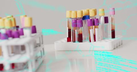 Innovative digital interface with blood sample test tubes