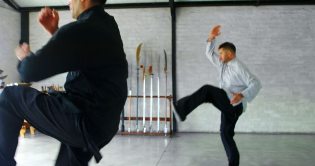 Martial Artists Practicing Kick Techniques in Studio - Download Free Stock Images Pikwizard.com