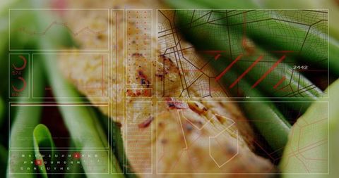 Augmented reality hud analyzing plant stem macro scan with grid maps, dials, readouts