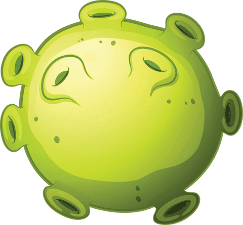 green corona virus illustration on transparent background - Download Free Stock Videos Pikwizard.com