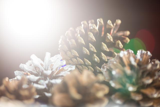 Close-up of pine cone decorations with artificial snow and bright light, creating a festive and wintery atmosphere. Perfect for holiday greeting cards, Christmas-themed designs, seasonal promotions, and winter decorations.