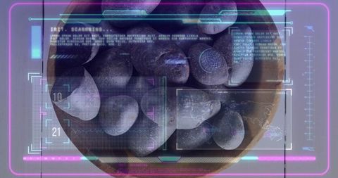 Top-down wooden bowl of indigo plums with neon holographic hud overlay, futuristic food tech