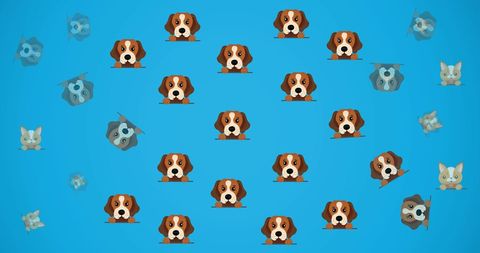 Adorable cat and dog illustration pattern on blue background
