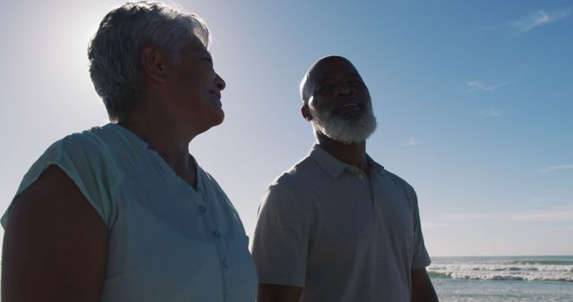 Senior Couple Enjoying a Walk on the Beach at Sunset - Download Free Stock Images Pikwizard.com