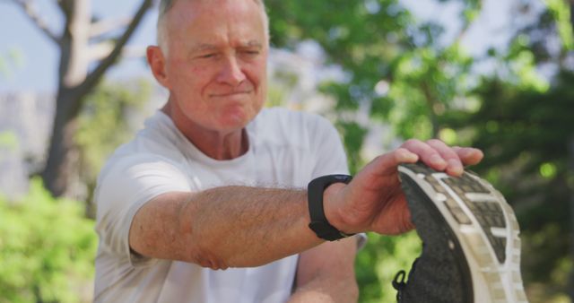 Senior Man Stretching Outdoor in Nature for Fitness - Download Free Stock Images Pikwizard.com