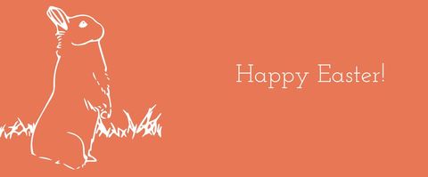 Easter Rabbit Sketch Greeting on Orange Background - Download Free Stock Templates Pikwizard.com
