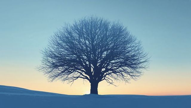 Solitary bare oak standing on snowy rise at pastel dawn silhouette minimal winter landscape