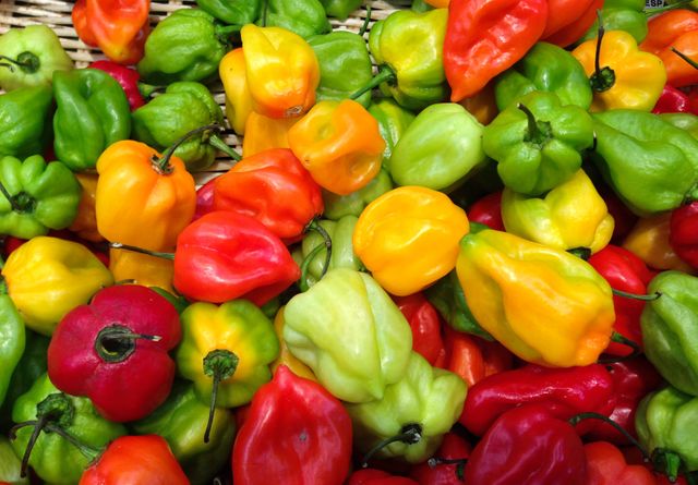 Brightly colored fresh habanero peppers are together. Ideal for conveying concepts of healthy eating, natural ingredients, and vibrant food items. Great for use in food blogs, recipes, fresh produce promotions, and culinary advertisements.