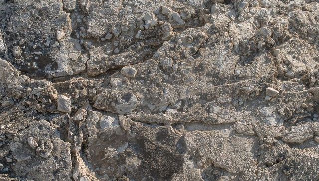 Fractured limestone bedrock close-up showing weathered stratified layers and pebble texture