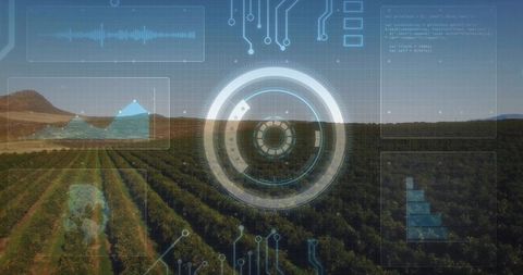 Drone HUD Overlay Monitoring Vineyard Rows for Precision Agriculture and Crop Analytics