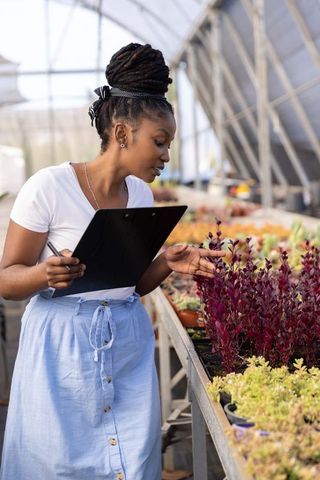 African american woman inspecting purple foliage in greenhouse holding clipboard and pen