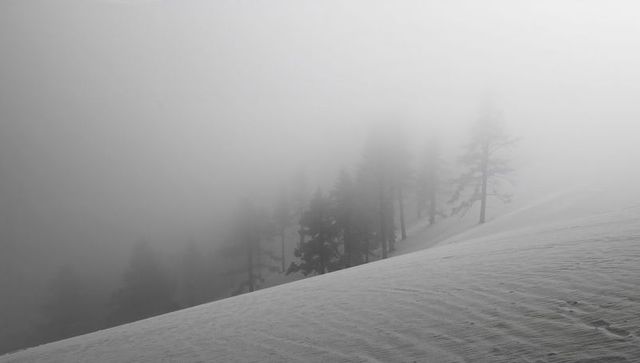 Misty alpine slope with rippled snow and evergreen trees fading into winter fog