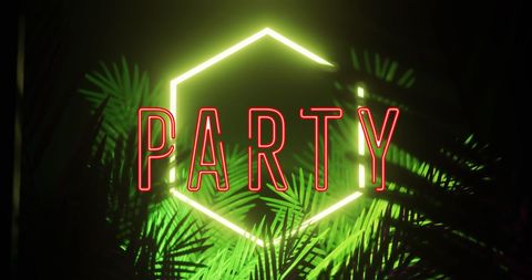 Neon Party Text with Hexagon and Palm Leaves on Dark Background