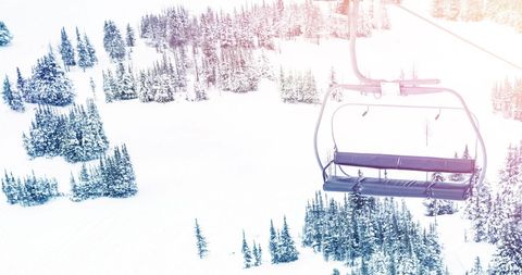 Chairlift Over Snowy Mountain Forest in Winter Sunlight - Download Free Stock Images Pikwizard.com