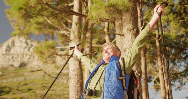 Happy senior caucasian man hiking in sunny forest celebrating with arms outstretched, copy space. Freedom, celebration, retirement, vacations, nature, wellbeing and active senior lifestyle, unaltered.