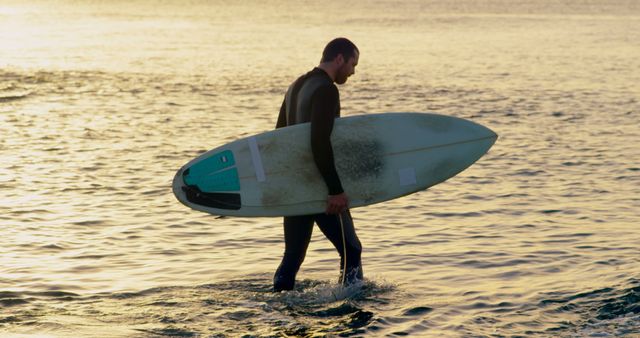 Surfer in wet suit seen walking in shallow ocean water holding surfboard during a serene sunset. Perfect for themes of adventure, water sports, coastal lifestyle, peace, and sunset experiences.
