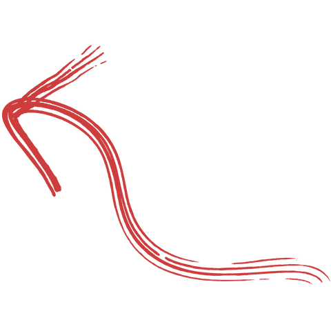 hand-drawn red arrow graphic on transparent background - Download Free Stock Videos Pikwizard.com