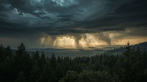 Dramatic Sunrays Breaking Through Storm Clouds Over Mountain Forest